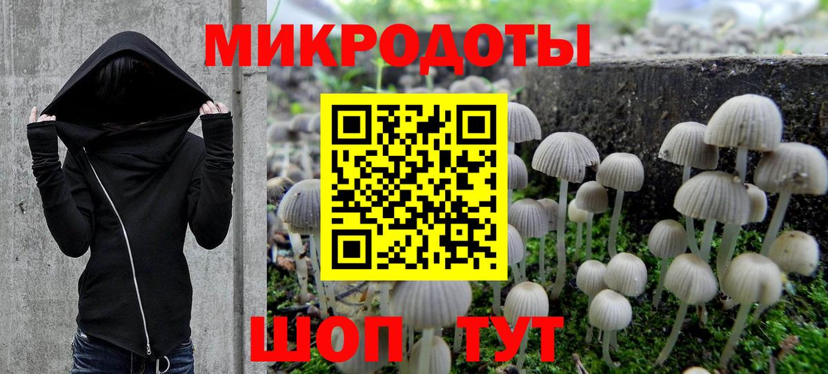 Псилоцибиновые грибы мицелий  Вход с VPN  Кузнецк 